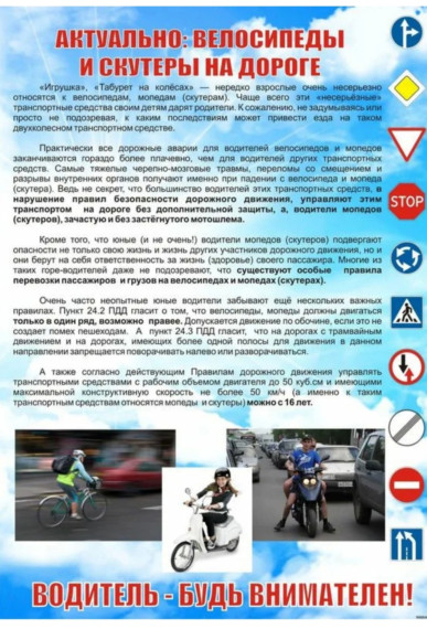 Велосипеды и скутеры на дороге.